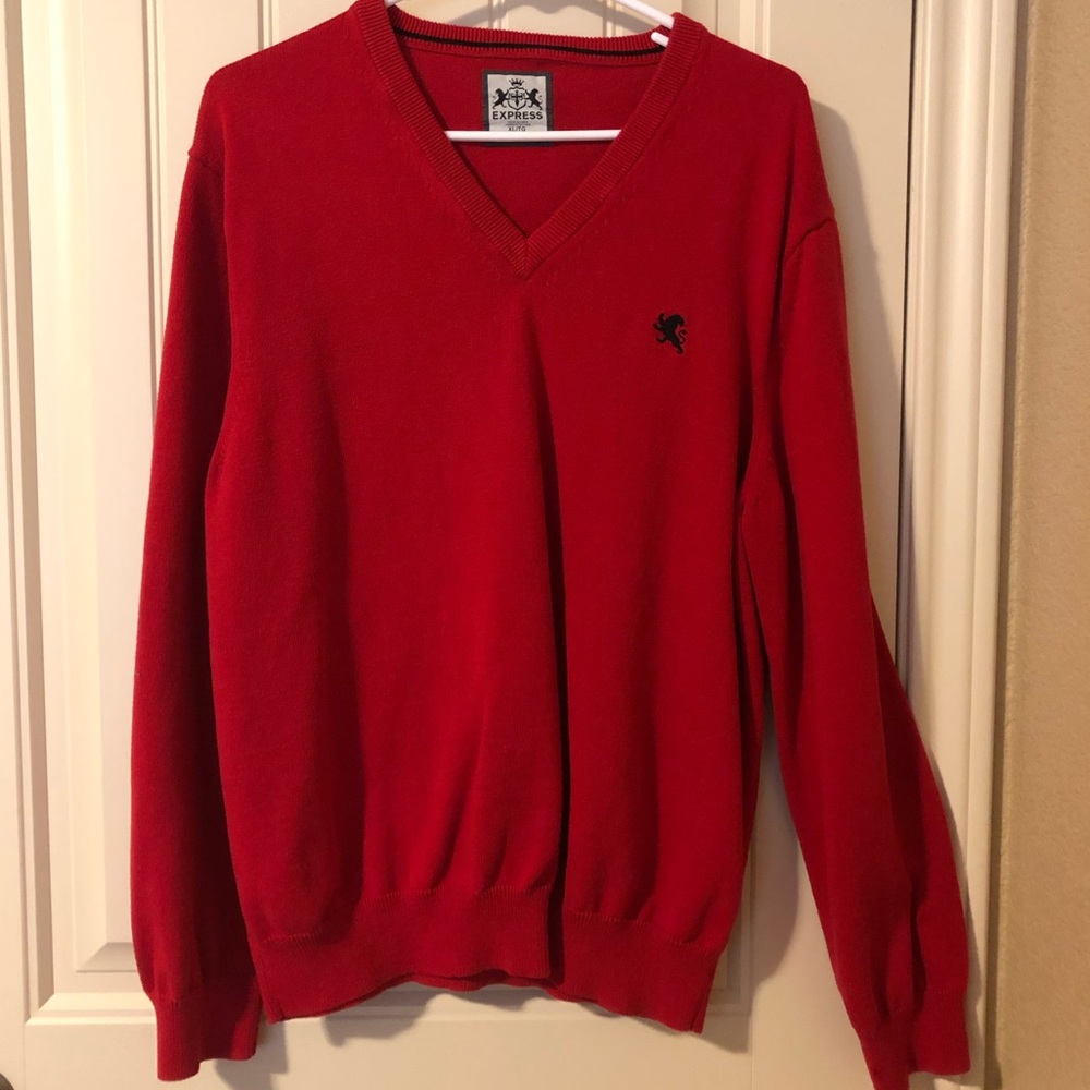 Express v-neck sweater
